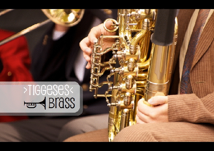 Bilderanimation der Auftritten von Tiggeses Brass Bilderanimation der Auftritten von Tiggeses Brass